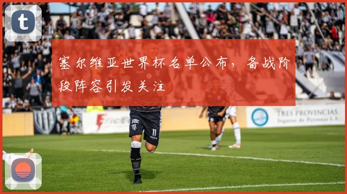 塞尔维亚世界杯名单公布，备战阶段阵容引发关注