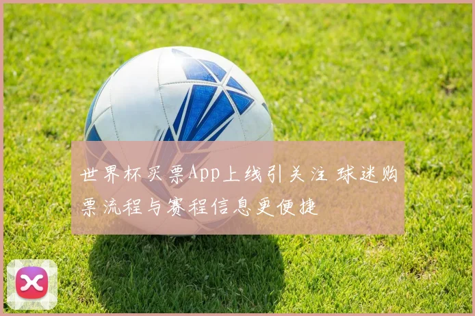 世界杯买票App上线引关注 球迷购票流程与赛程信息更便捷